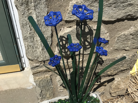 A flower pot on the front door step has dark tealish green blades and stalks with 6 periwinkle blue "flowers".